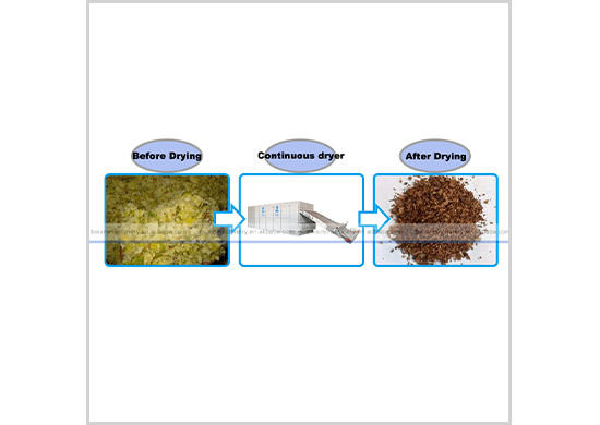 pineapple waste dryer/drying machine